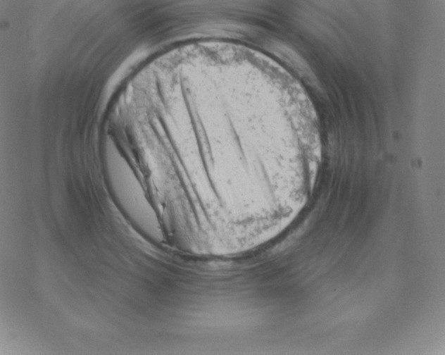 X0000076311180200610271932