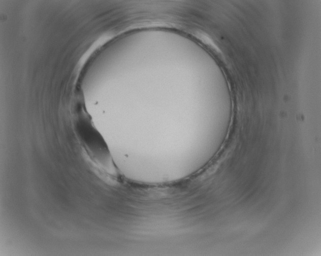 X0000076311181200610271932