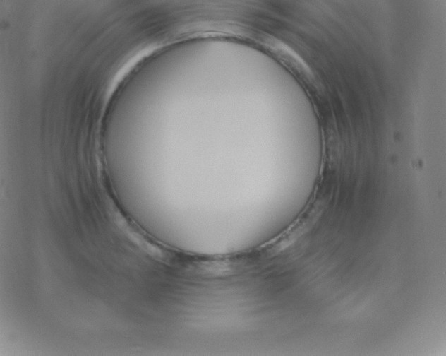 X0000076311182200610271931