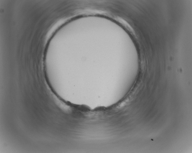 X0000076311183200610271931