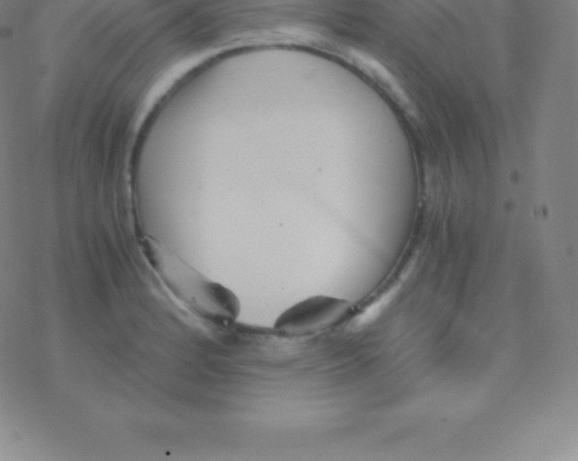 X0000076311184200610271931