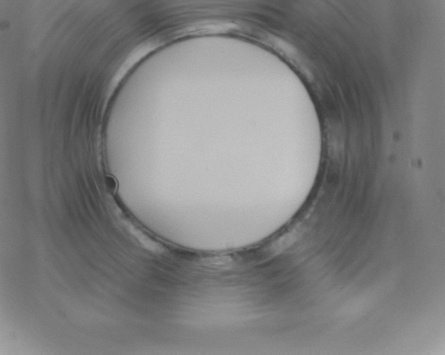 X0000076311186200610271931