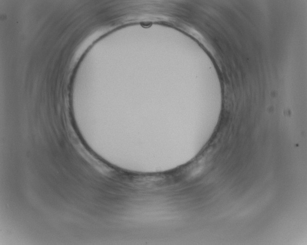 X0000076311187200610271931