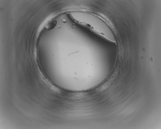 X0000076311188200610271931