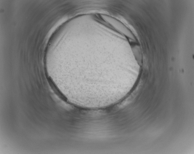 X0000076311189200610271931