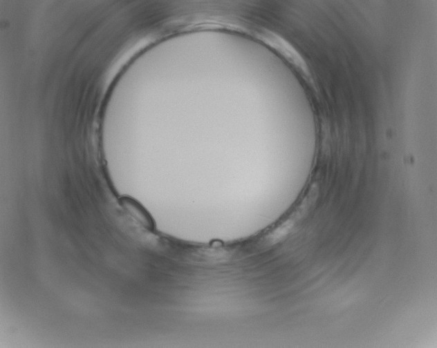 X0000076311190200610271931