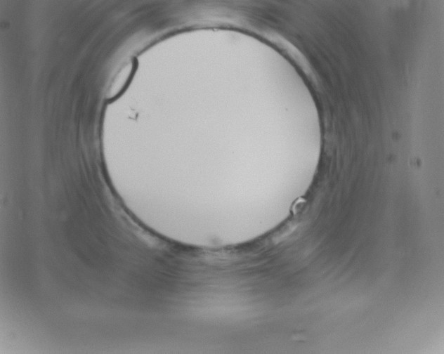 X0000076311191200610271931