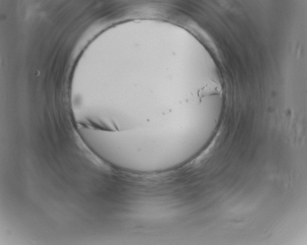 X0000076311192200610271931