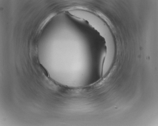 X0000076311193200610271931