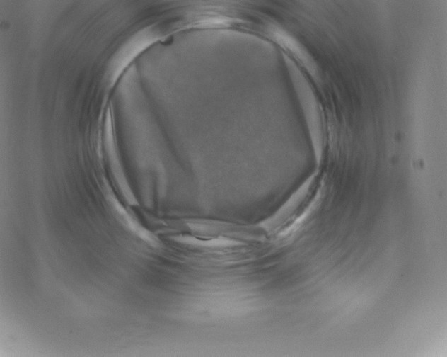 X0000076311194200610271931