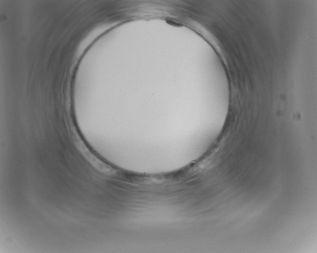 X0000076311195200610271931