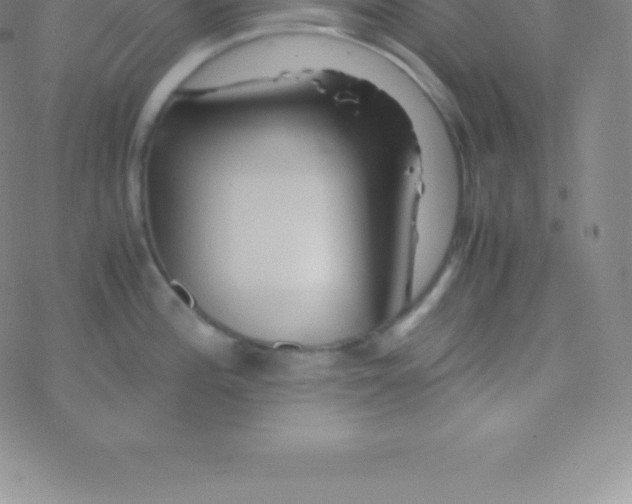 X0000076311196200610271931