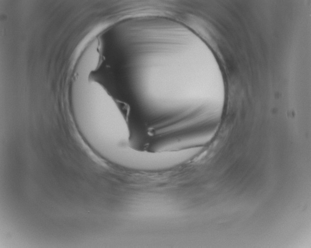 X0000076311197200610271931