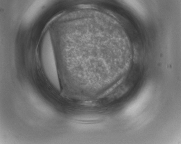 X0000076311198200610271931