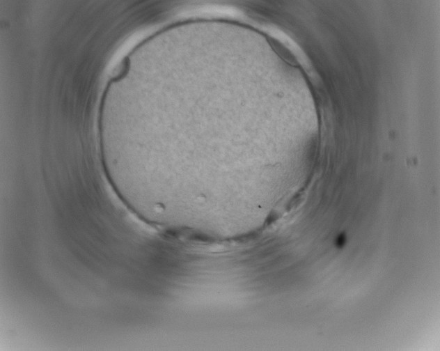 X0000076311199200610271931