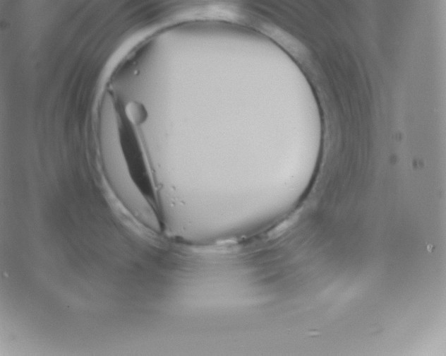 X0000076311200200610271931