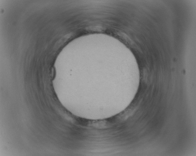 X0000076311201200610271930