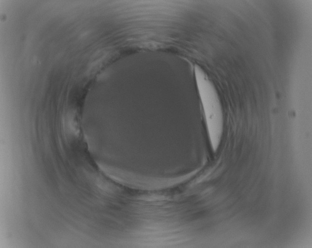 X0000076311202200610271930