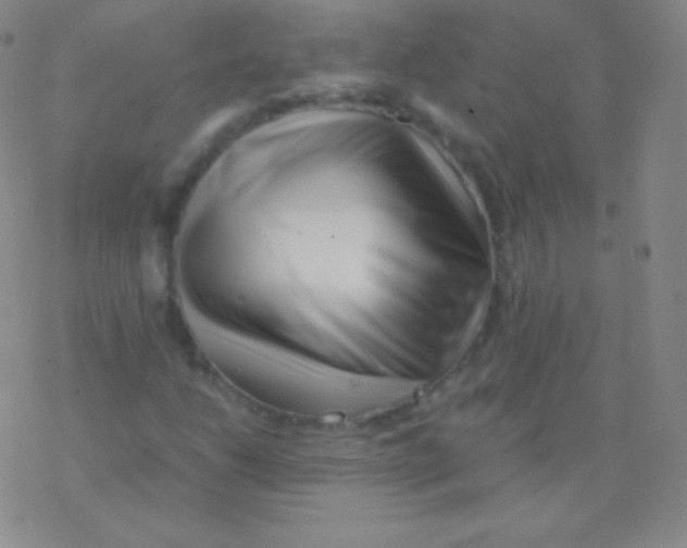 X0000076311206200610271931