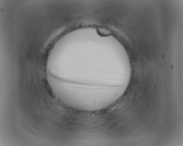 X0000076311207200610271931