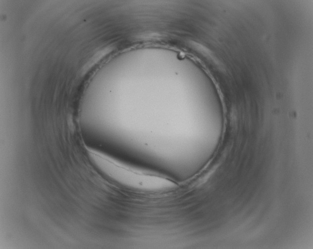 X0000076311209200610271931