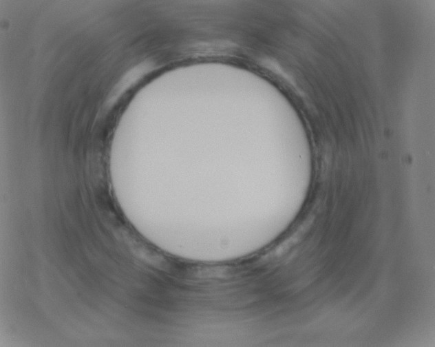 X0000076311211200610271931