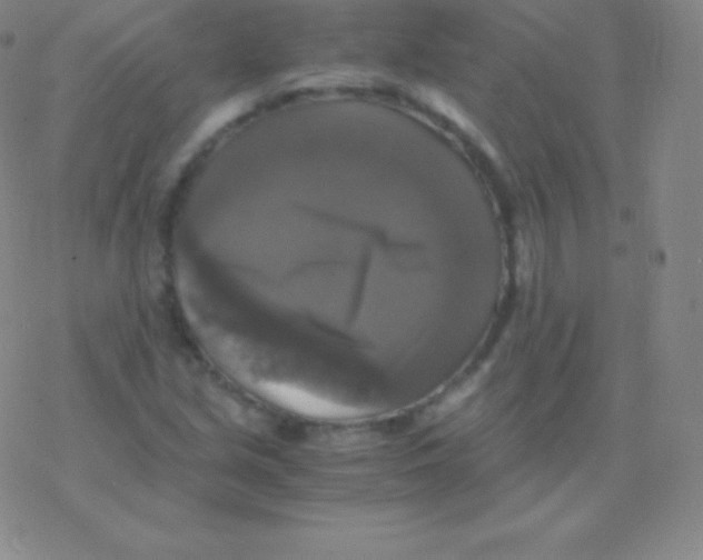 X0000076311213200610271931