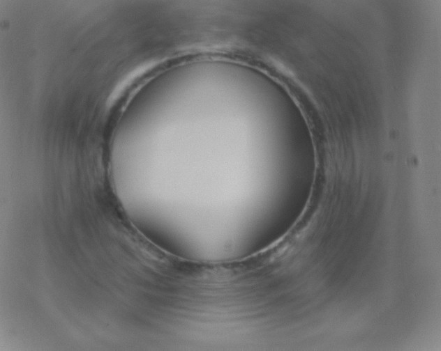 X0000076311214200610271931