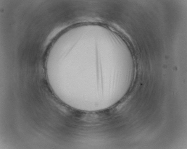 X0000076311215200610271931