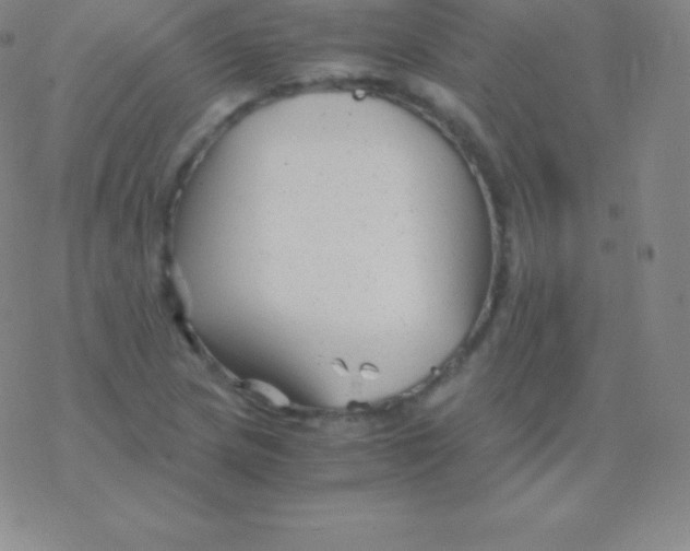 X0000076311217200610271931