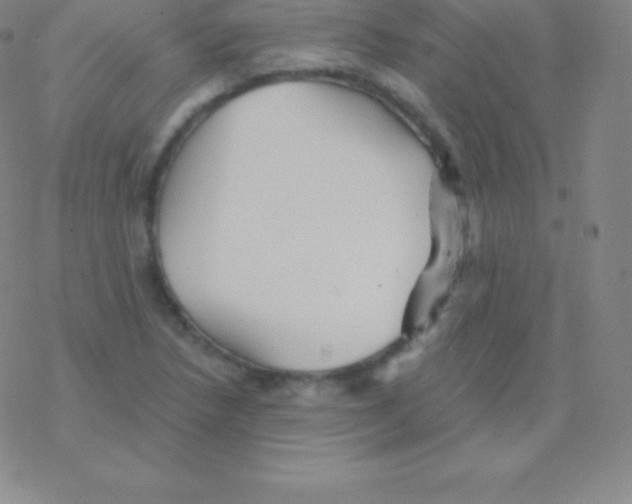 X0000076311218200610271931