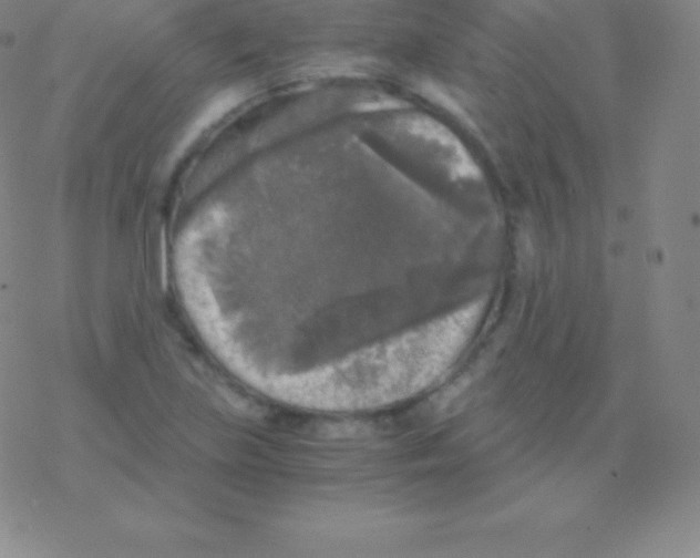 X0000076311219200610271931