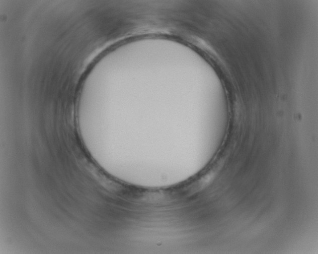 X0000076311220200610271931