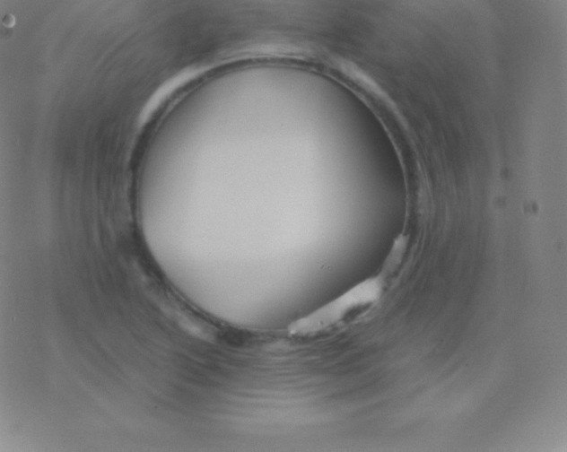 X0000076311222200610271931