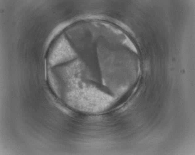 X0000076311223200610271931