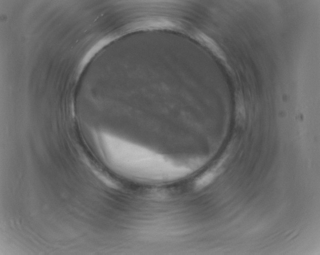 X0000076311226200610271931