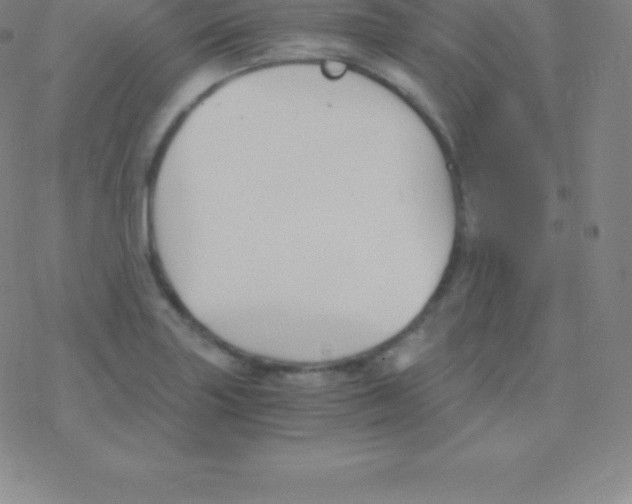 X0000076311227200610271931