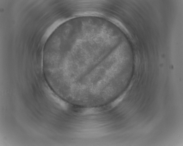 X0000076311228200610271931