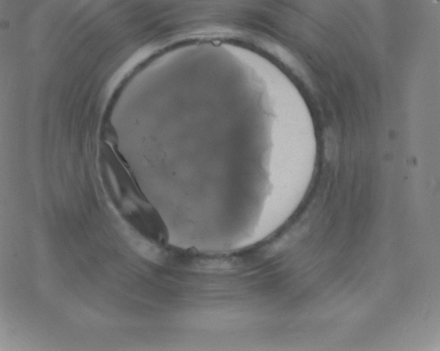 X0000076311229200610271931