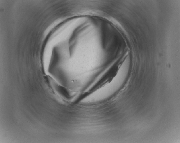 X0000076311230200610271931