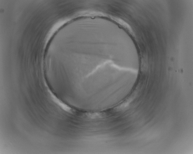 X0000076311231200610271931