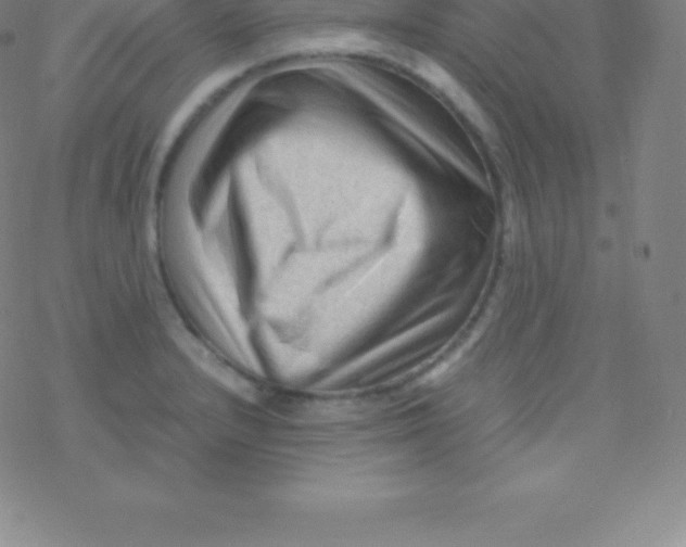 X0000076311232200610271931