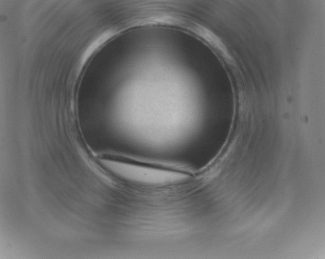 X0000076311234200610271931