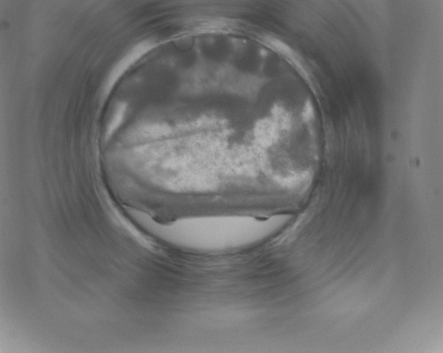 X0000076311235200610271931