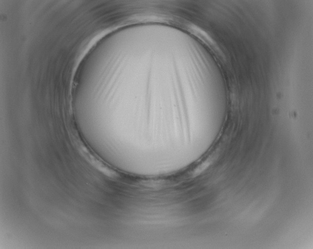 X0000076311236200610271931