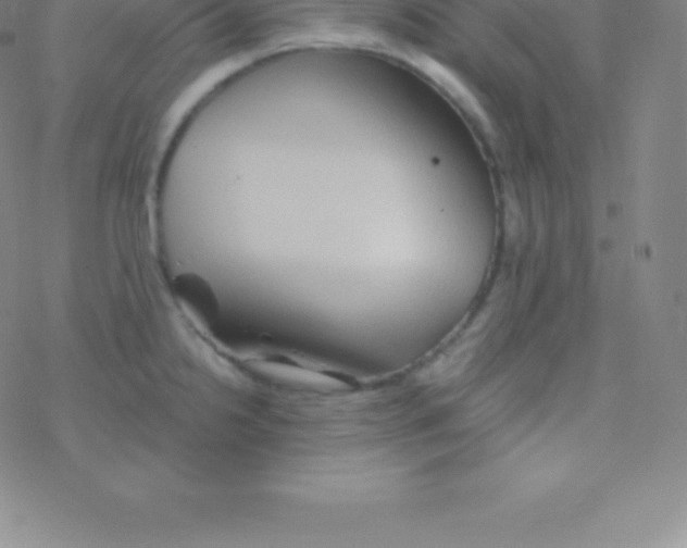 X0000076311238200610271931