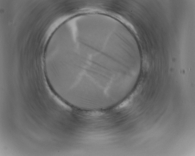 X0000076311239200610271931