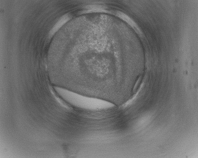 X0000076311241200610271931