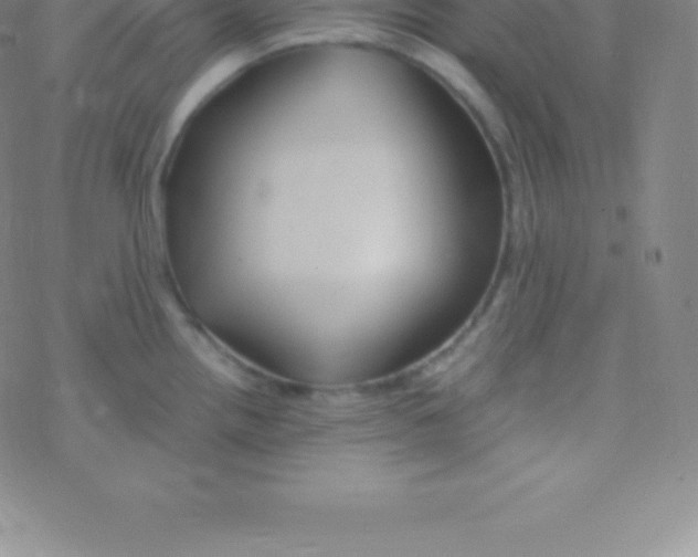 X0000076311242200610271931