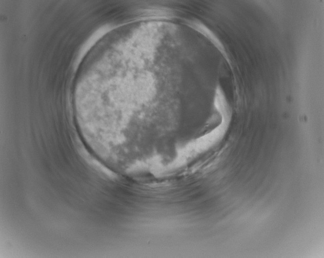 X0000076311243200610271931